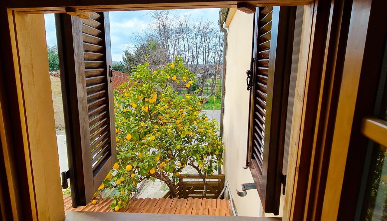 Agriturismo Barbadoro San Vincenzo Exterior foto